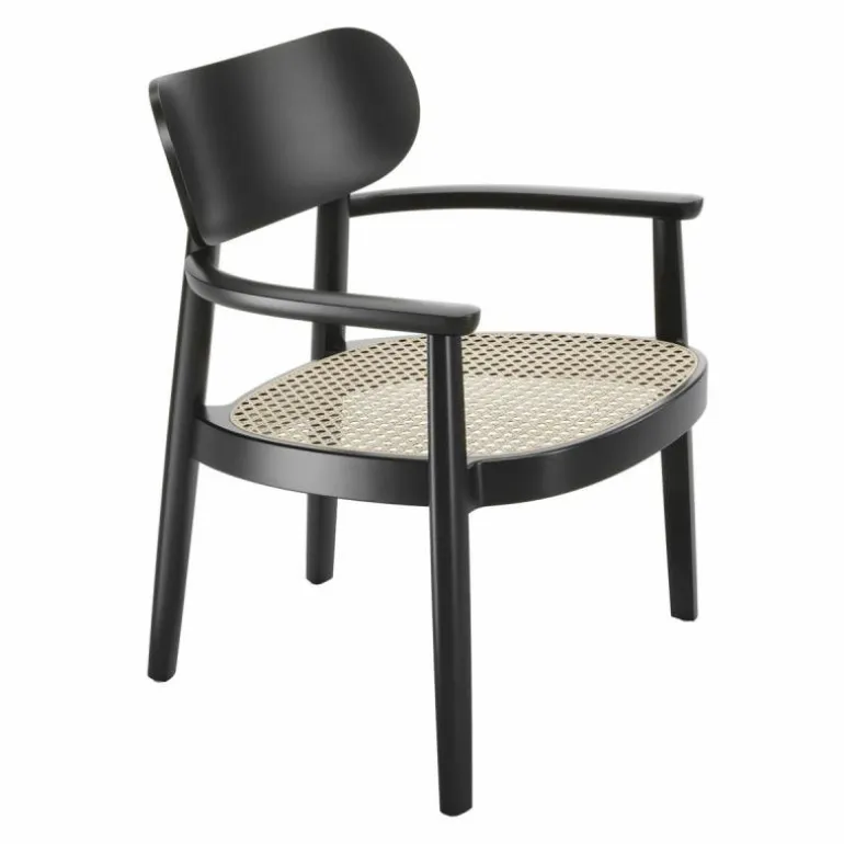 119 F Loungestoel