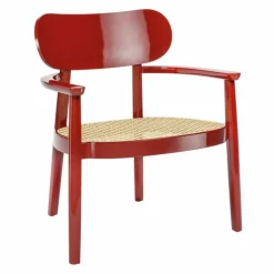 119 F Loungestoel