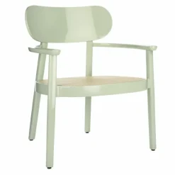 119 F Loungestoel