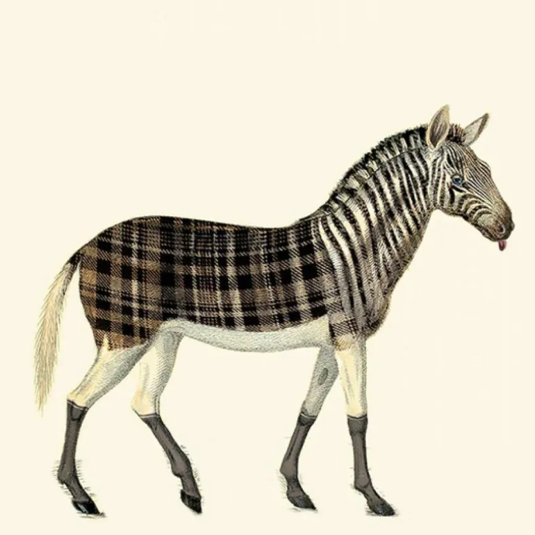 Aristo Quagga Behang Snow