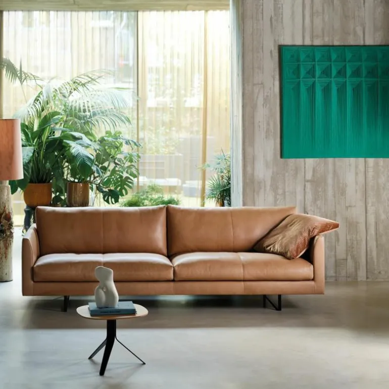 Axel XL Bank