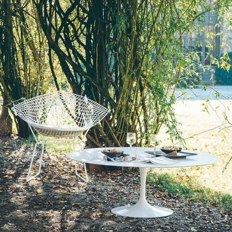 Bertoia Diamond Fauteuil Outdoor