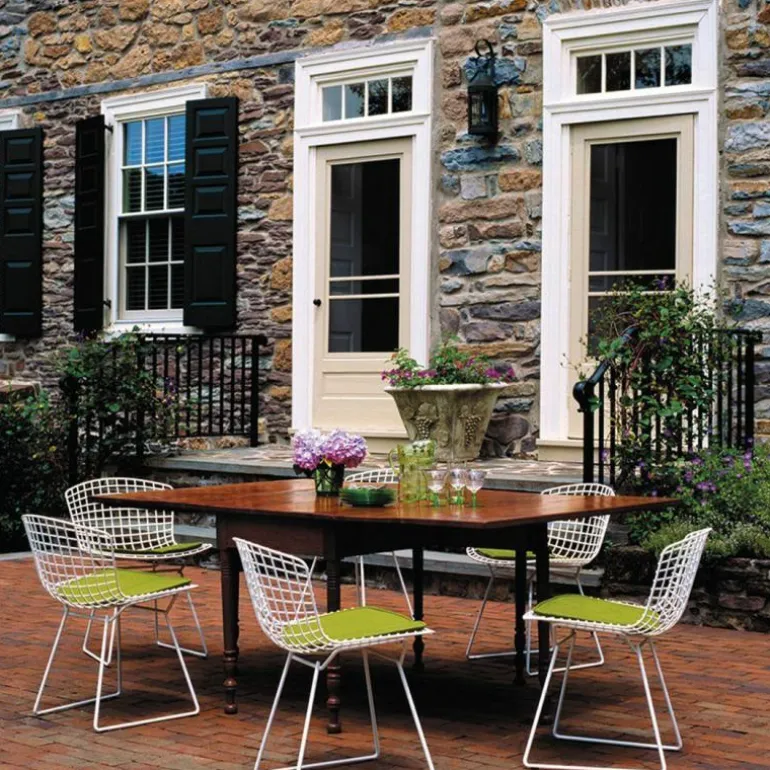 Bertoia Side Chair Outdoor