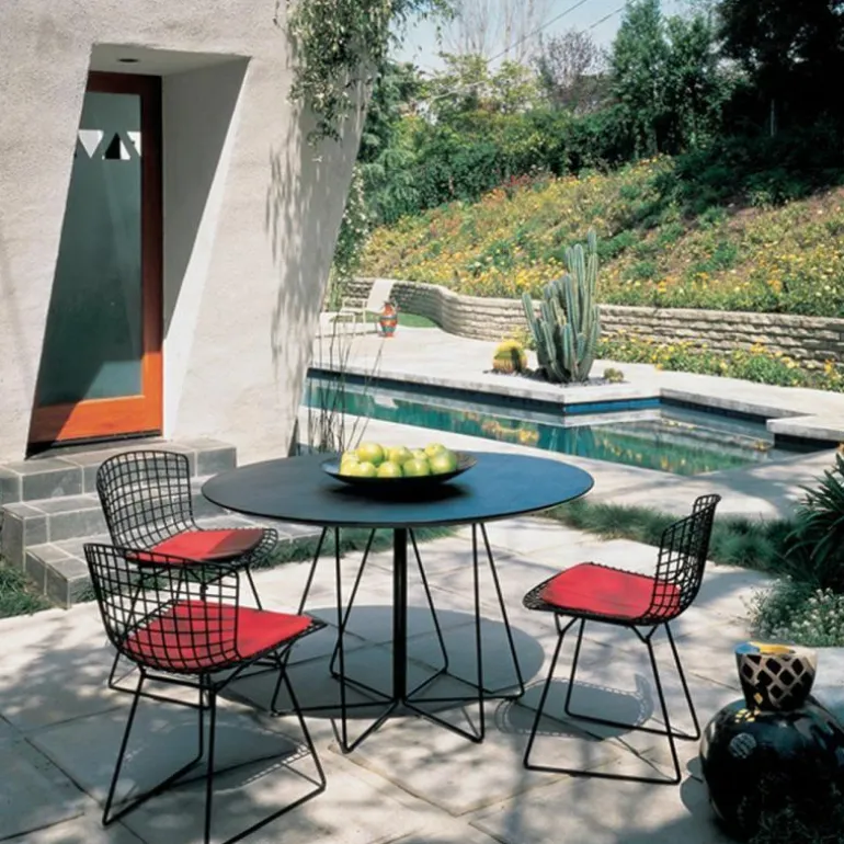 Bertoia Side Chair Outdoor