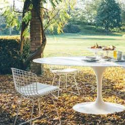 Bertoia Side Chair Outdoor