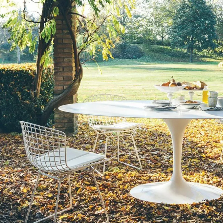 Bertoia Side Chair Outdoor
