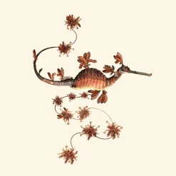 Blooming Seadragon Behang Pine
