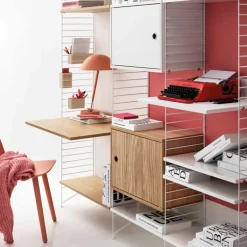Cabinet with Swing Door