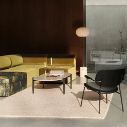 Co Loungestoel