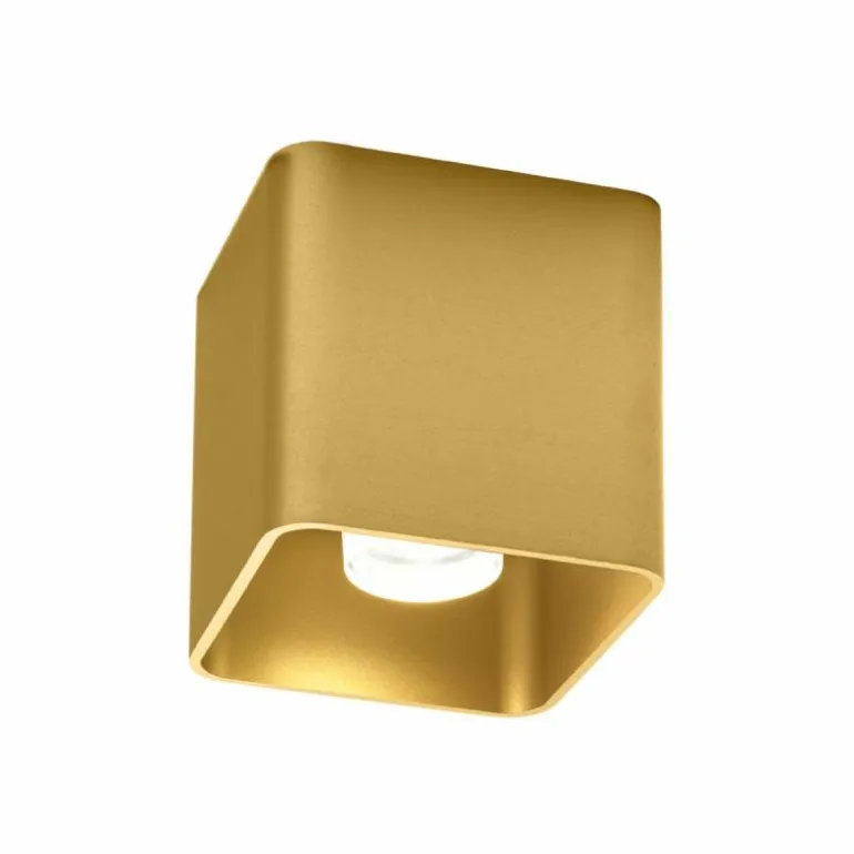 Docus 1.0 Plafondlamp