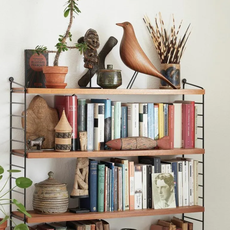 Eames House Bird