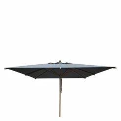Elena Parasol