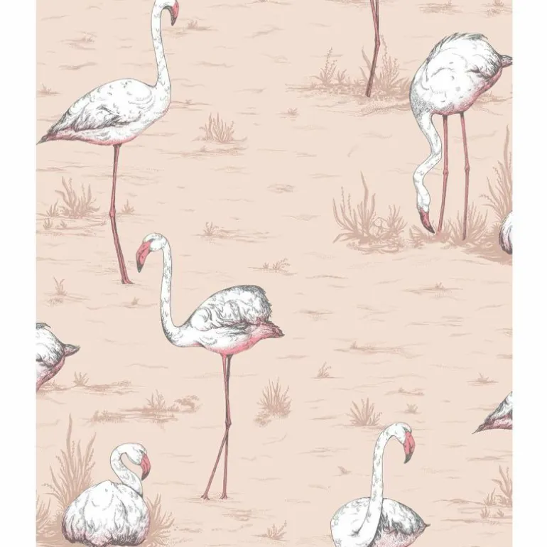 Flamingos Behang