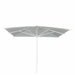 Florida Parasol