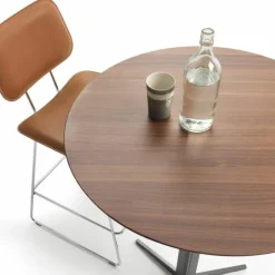 Fly Bartafel