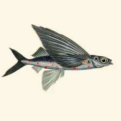 Flying Coral Fish Behang Silver Grey