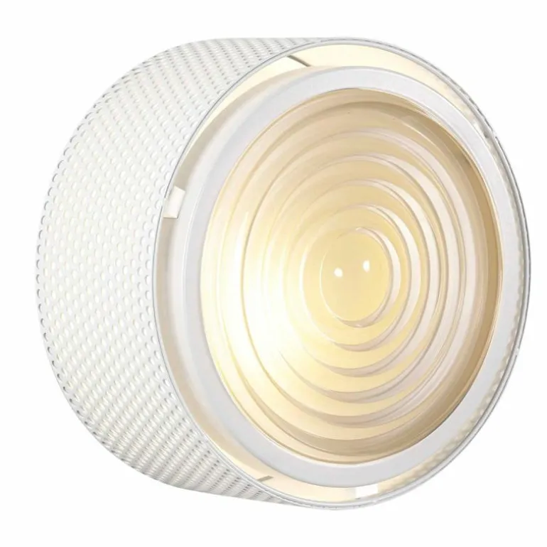 G13 Lamp