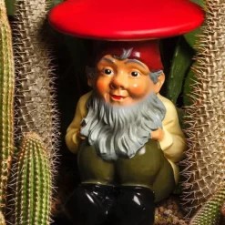 Gnomes Kabouter Napoleon