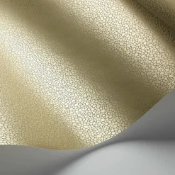 Goldstone Behang