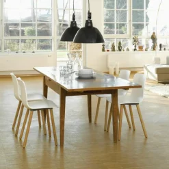 HAL Wood Chair Stoel
