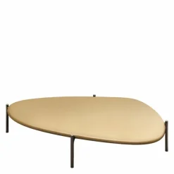 Ishino Salontafel