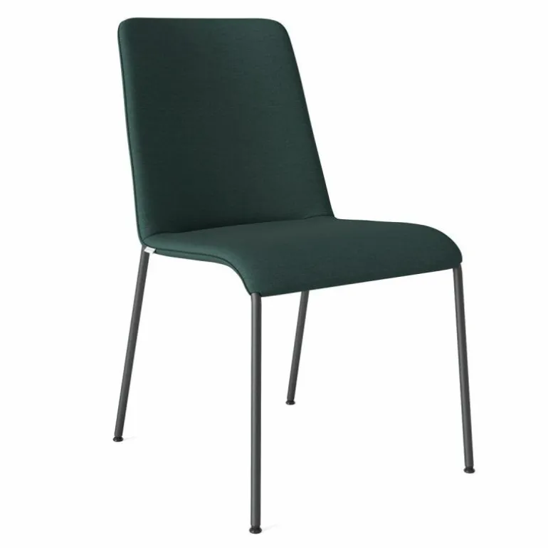 Liz Stoel