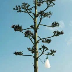 Mayday Outdoor Lamp