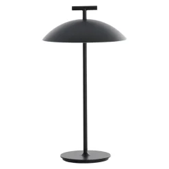 Mini Geen-A Tafellamp Oplaadbaar