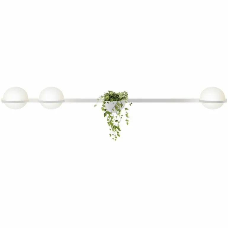 Palma Wandlamp