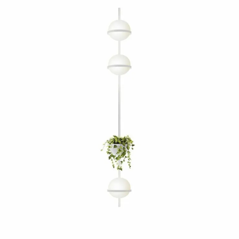 Palma Wandlamp