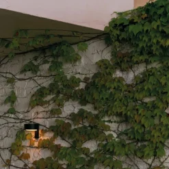 Plaff-on! Wandlamp Outdoor