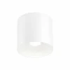 Ray 4.0 LED Plafondlamp