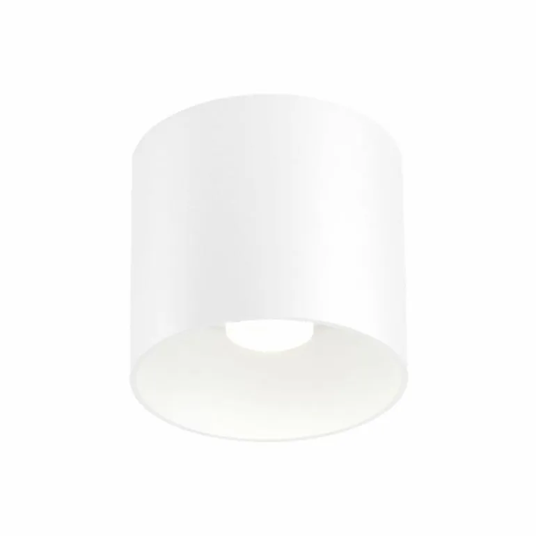 Ray 4.0 LED Plafondlamp