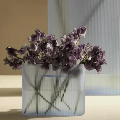 Ridge Vaas Glas