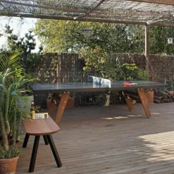 RS Ping Pong Tafeltennistafel