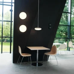 Silverback Hanglamp