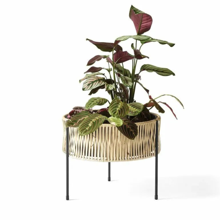 Umanoff Plantenbak