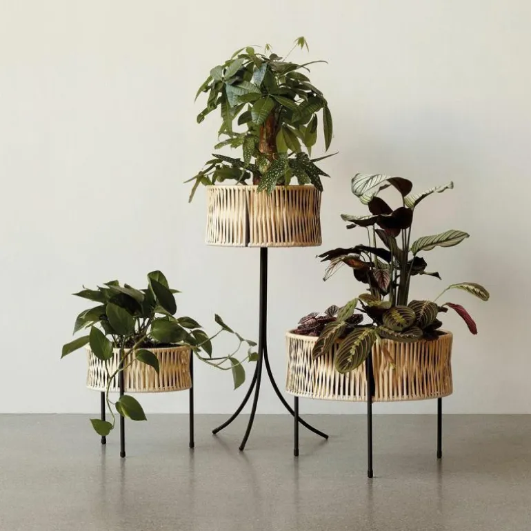 Umanoff Plantenbak