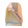 Un-Roll Vloerkleed