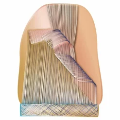Un-Roll Vloerkleed
