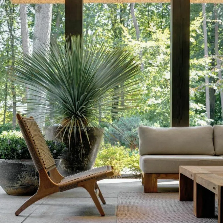 Verdasio Fauteuil