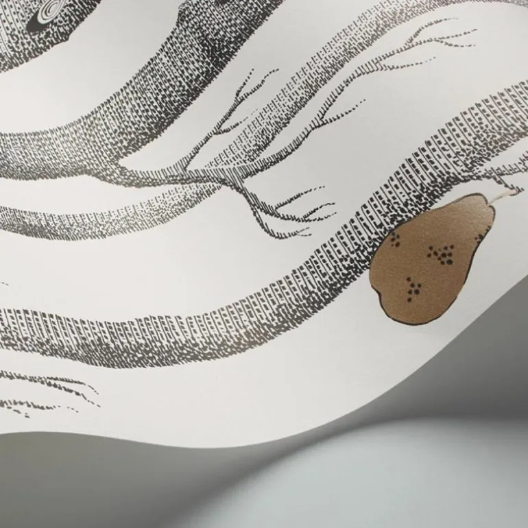 Woods & Pears Behang